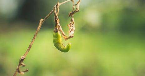 考生|2020高考，只有这三类考生适合提前批，瞧瞧有你吗？