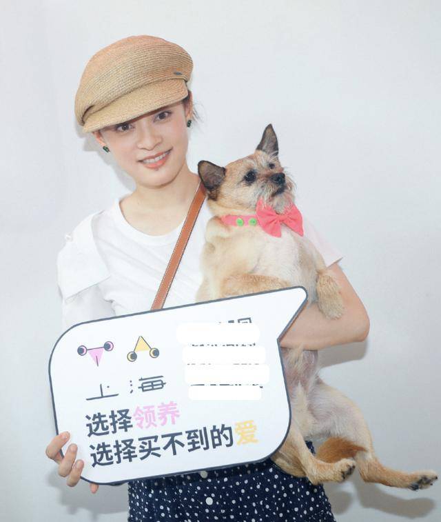原创孙俪带儿女做公益，与李佳琦宣传领养动物，等等身高到妈妈肩膀