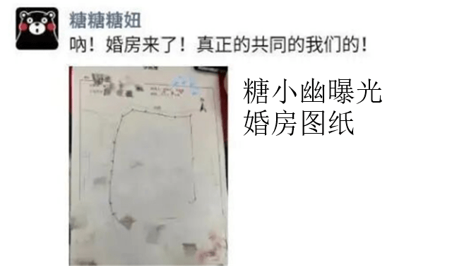 图纸|糖小幽晒出一张简单的图纸，新房面积是4位数，没钱难以想象系列