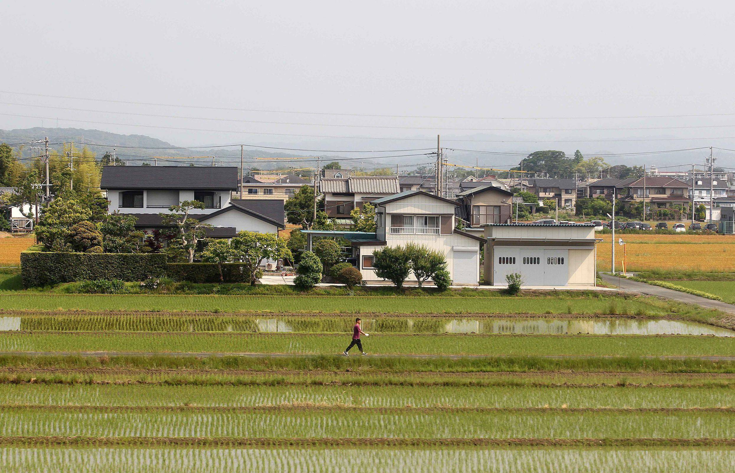 据调查显示,日本越来越多的年轻人希望回归田园,受访者中比起生活在
