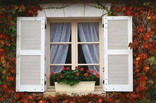 儿童|它隐藏在我们家里，是儿童白血病的得力助手，很多家长还不知道！