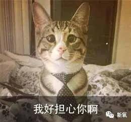 住院|原创万茜车祸紧急手术，牵扯出郑希怡也受伤秘密住院，姐姐内部发生什么了？