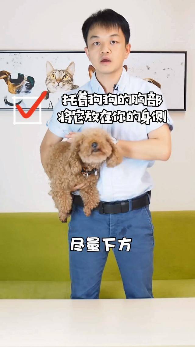 狗狗不让抱怎么办一抱就咬人