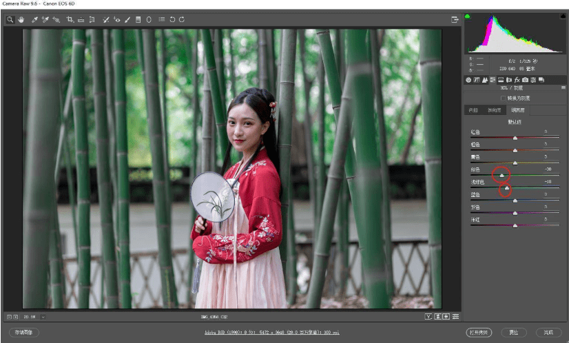 调整|探图摄影师专栏｜古装竹林人像调色详解