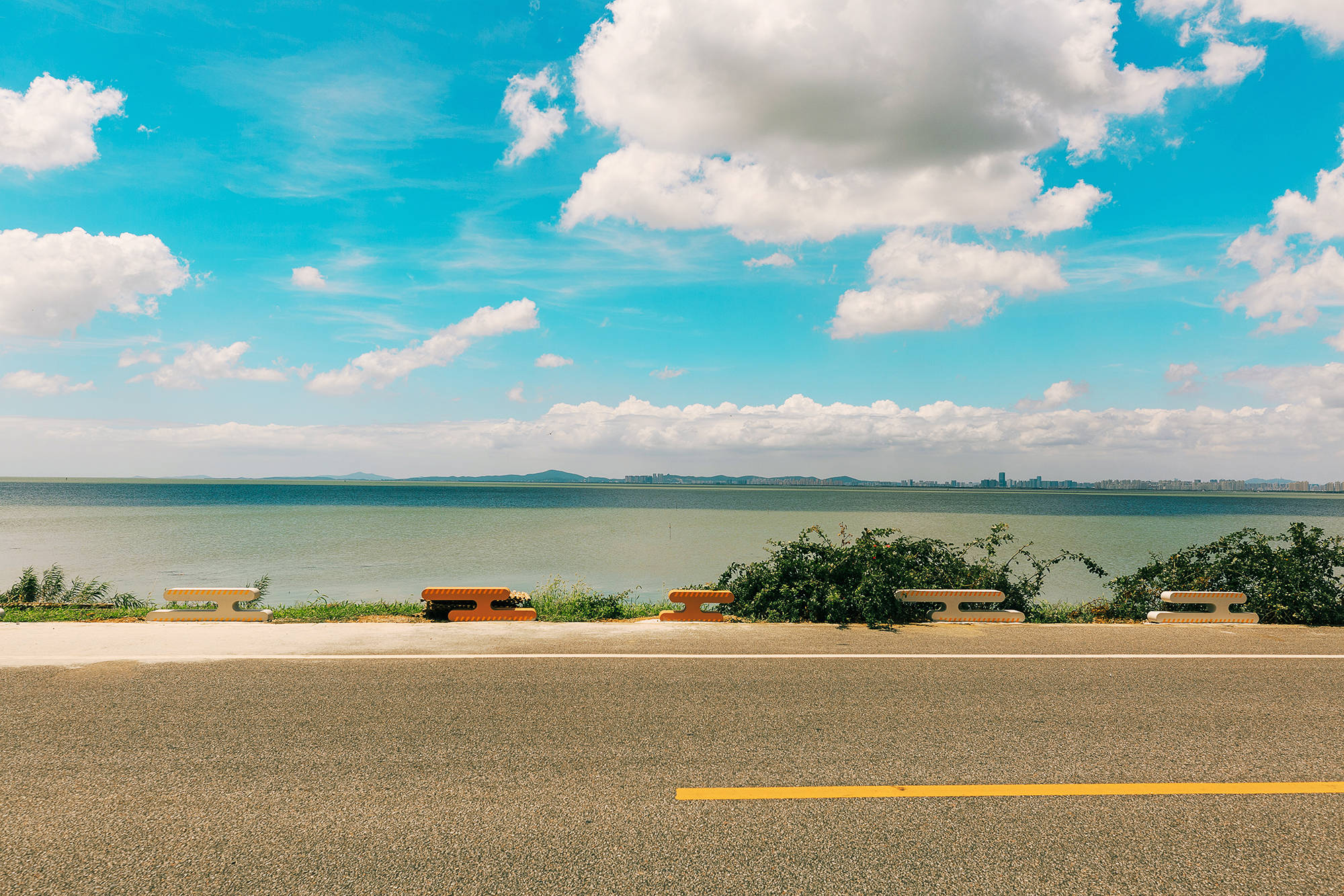 女人|正是蜜桃成熟时，番茄、蓝莓是伴娘夏风掠过北太湖
