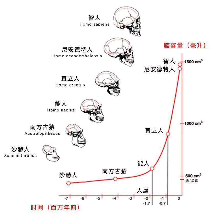 地球原本没有人，那第一个“人”是怎么出现的？