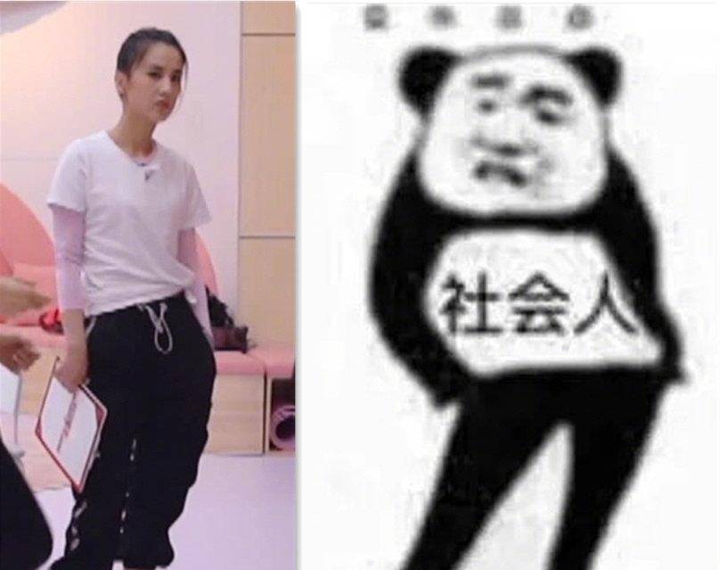 社会社会,惹不起