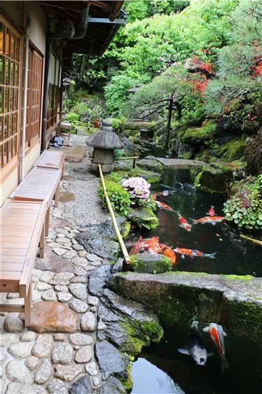 100㎡小院打造"日式庭院",记住这4点,一个精致日式花园诞生了