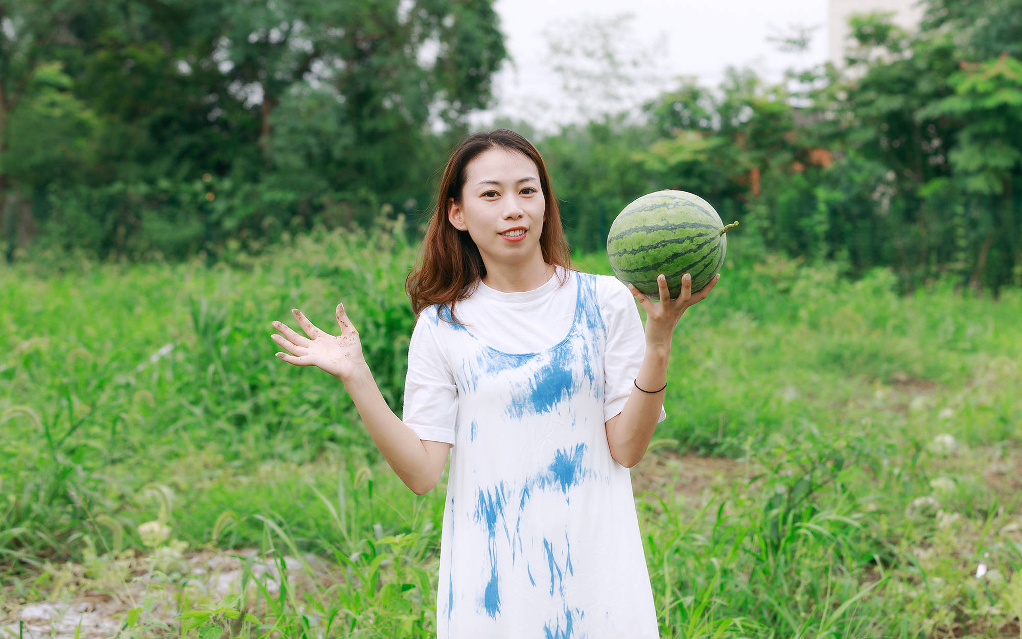 女人|正是蜜桃成熟时，番茄、蓝莓是伴娘夏风掠过北太湖