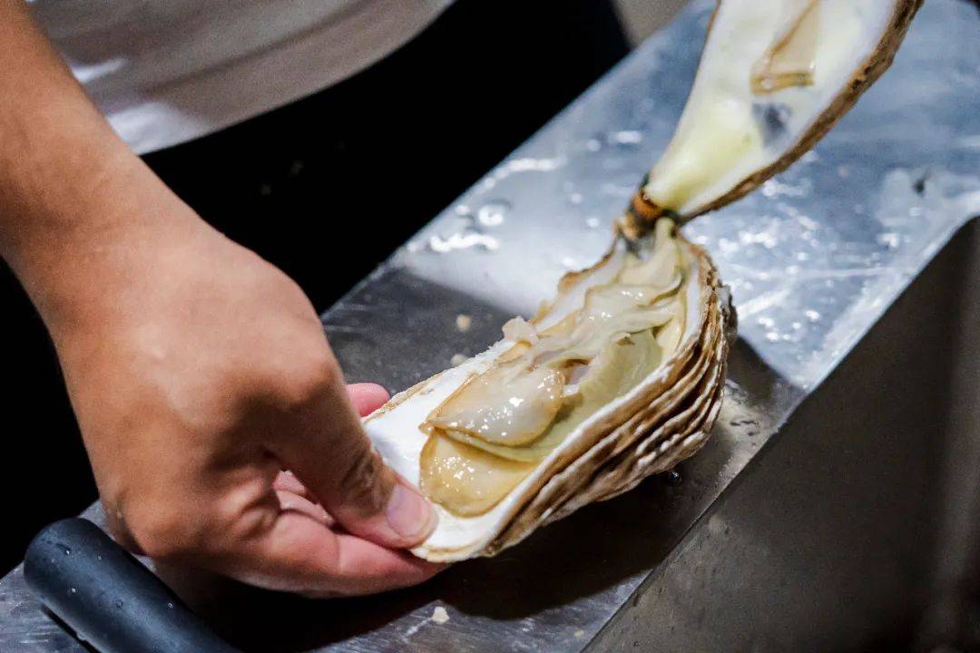 连唐僧|生蚝比47码皮鞋大，连唐僧都无法拒绝藏在昆明小区的老字号烧烤