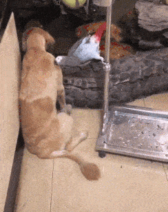 兄弟别烦我,我想静静.