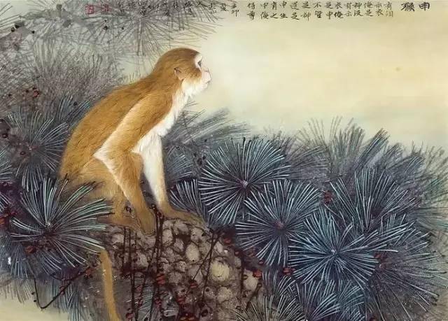 惟妙惟肖的工笔猴画