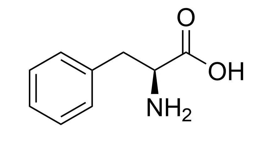 氨基酸种类大科普