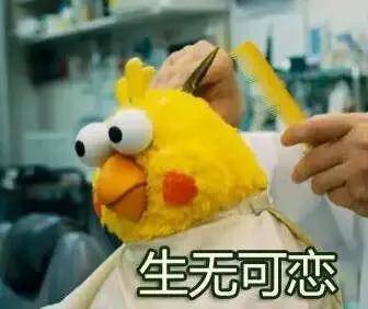 舞台|这么适合女团的她，竟然被淘汰了？