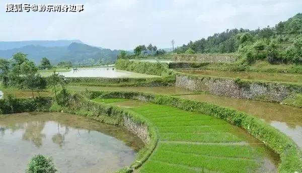 黄平人口面积_黄平苗族服饰