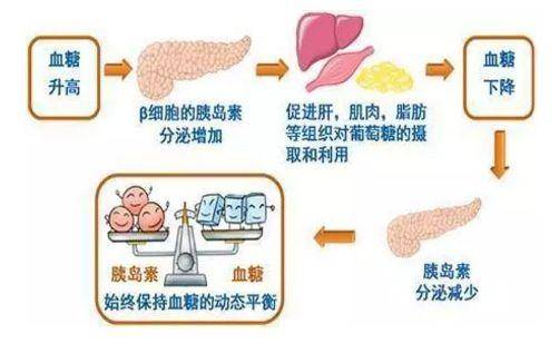 高血糖和糖尿病的区别有哪些这3点明显不同看完就全明白了