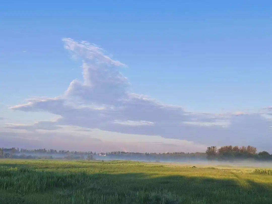 【柱子七彩早餐】长生天,骏马在奔腾_云朵