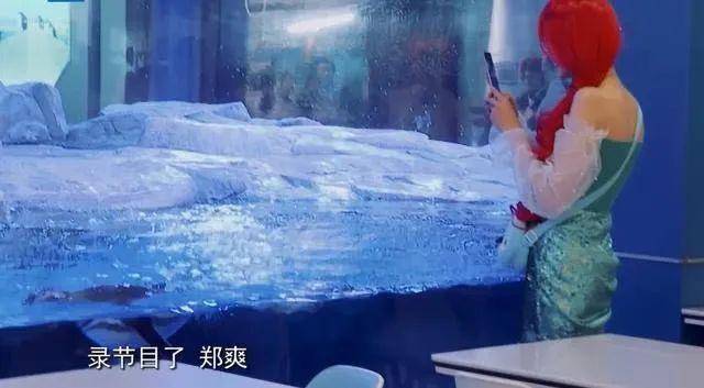 包袱|原创偶像包袱太重的郑爽，上综艺划水玩游戏作弊，水都要“假喝”？