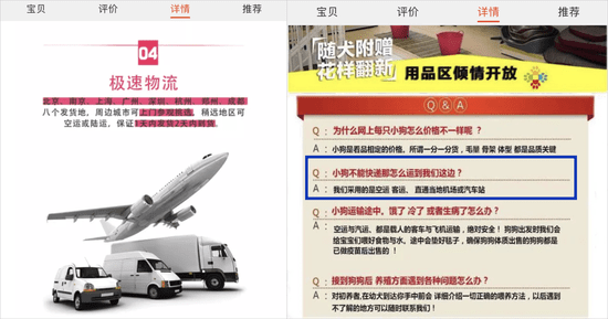 检疫|网购宠物到家3天就死了 违法快递为何屡禁不止？