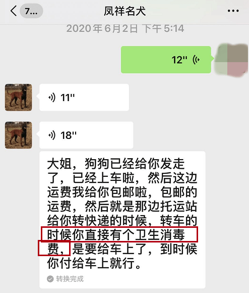 检疫|网购宠物到家3天就死了 违法快递为何屡禁不止？