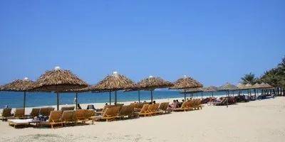 专业|千万别只看就业率！揭秘选专业门道！这些因素更重要...