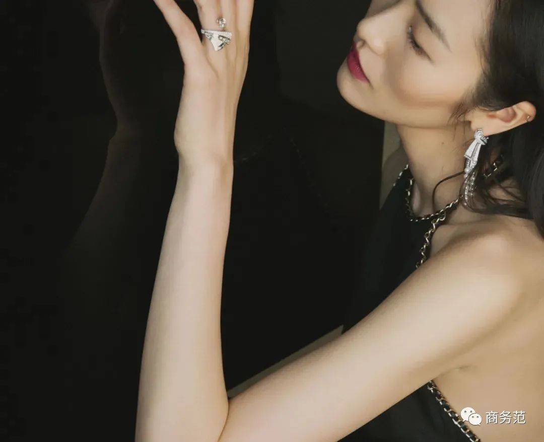 pdf|全世界富豪名媛、顶级VVVVIP们，今年最想要的珠宝清单.pdf