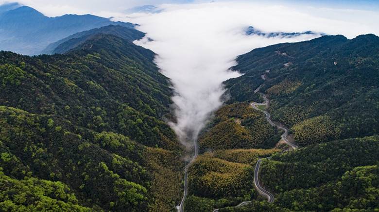 夏日旅游,避暑最佳胜地-平江天岳幕阜山