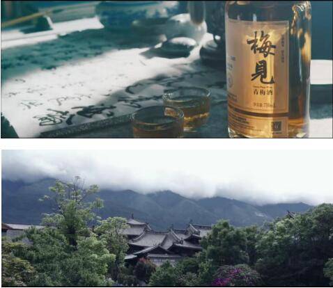 梅见|一颗青梅撬动佐餐酒新风口，梅见青梅酒和年轻人有多对味？