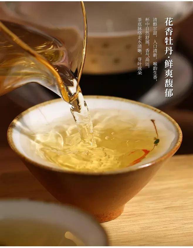 牡丹花蕊茶丨一斤2000多的茶叶自有它的道理