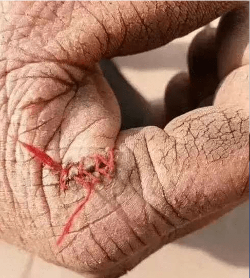 案例|李显红：品牌要感知，而不是告知？