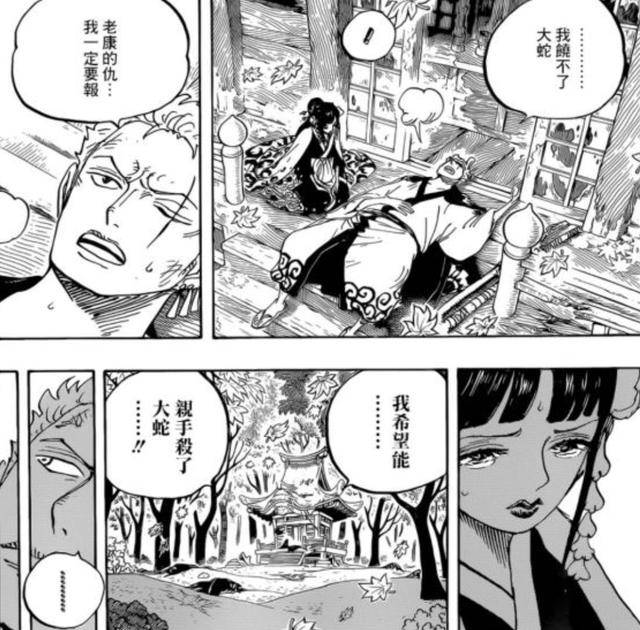 原创海贼王:大蛇没死?被斩首可能是一出戏