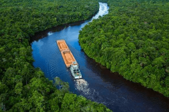 木中钻石：受到比尔盖茨钟爱的蛇纹木【木材科普004】