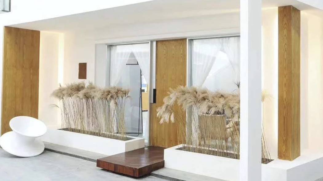 cm|新面孔电商模特培训 2020年招生简章