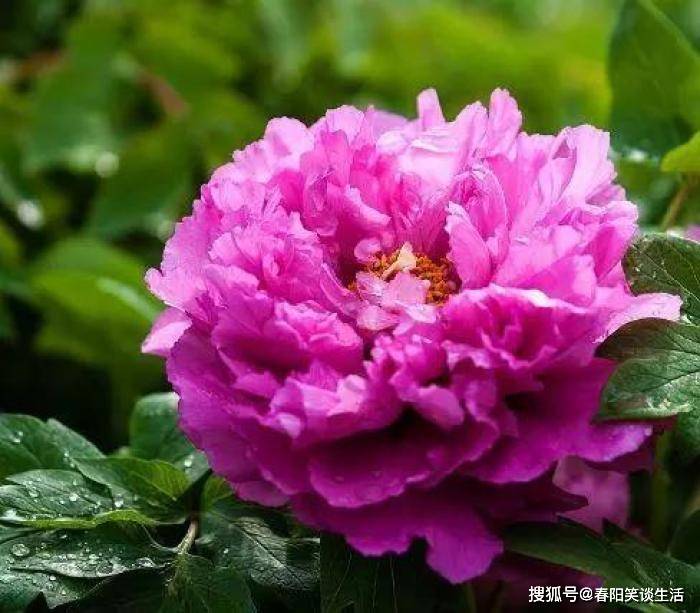 让人赞不绝口的感悟短语，朴实无华，入人心非