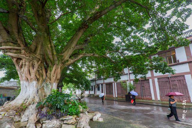 阆中|桃园结义三兄弟 身首异处在阆中 你道是谁？