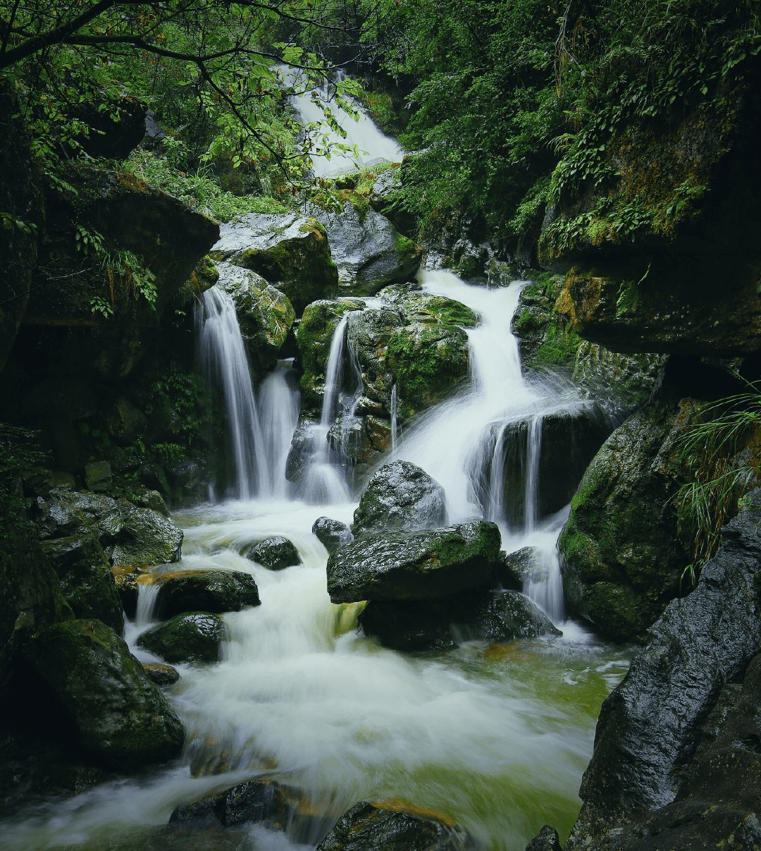 原创大自然在重庆凿的天坑,奇山异水的集结地,好莱坞大片的取景点