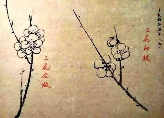 五笔画梅花
