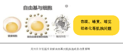 肌漾skino精华 专家推荐术后必备修复神器