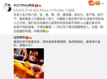 原创向太官宣郭碧婷怀孕,夫妻办婚礼一年却仍未领证结婚? 原创向太官宣郭碧婷怀孕,夫妻办婚礼一年却仍未领证结婚?