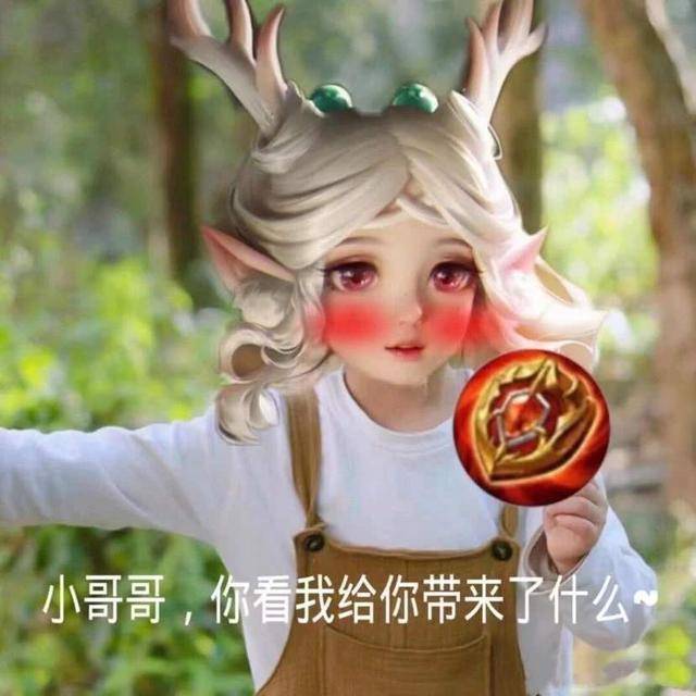 王者荣耀可爱瑶瑶表情包:小哥哥,你看我给你带来了什么