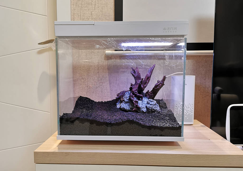 监测|哪种鱼缸更适合养鱼？画法几何AI智能鱼缸，水质监测还能自动喂食