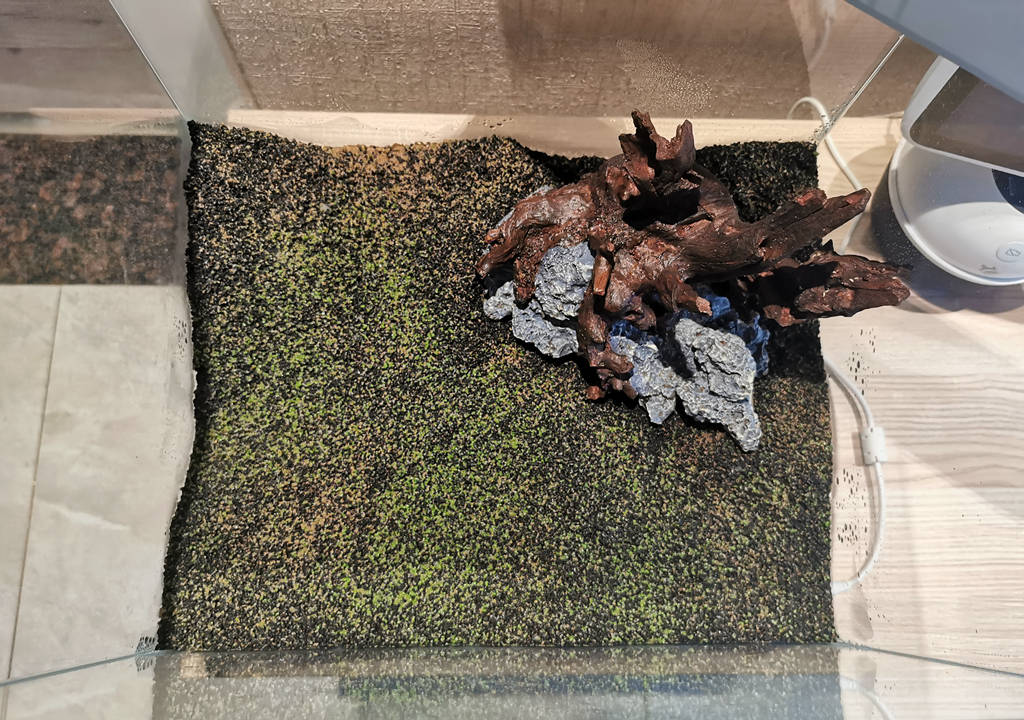 监测|哪种鱼缸更适合养鱼？画法几何AI智能鱼缸，水质监测还能自动喂食