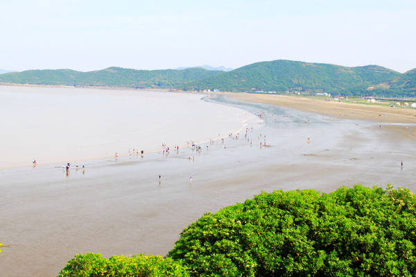 "华东第一滩"鹿栏晴沙,为何旅游专线车只是季节性开通,沙质还像污泥