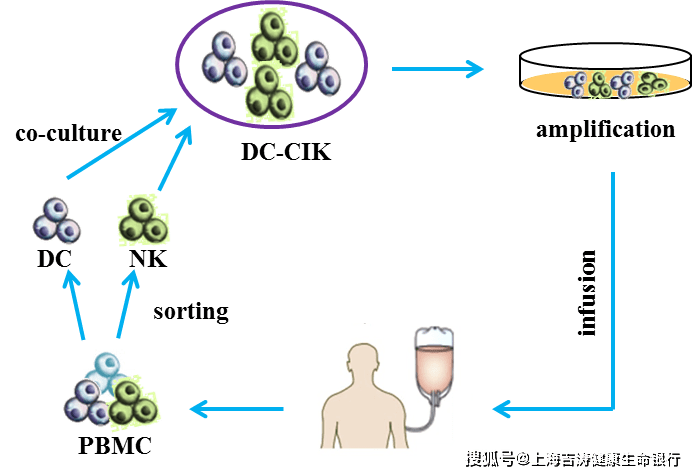 耶鲁大学发布新型免疫疗法结果,有望为癌症治疗带来新