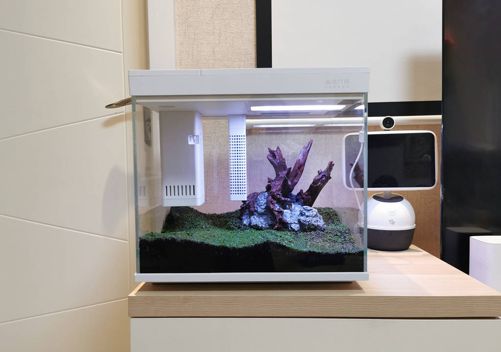 监测|哪种鱼缸更适合养鱼？画法几何AI智能鱼缸，水质监测还能自动喂食