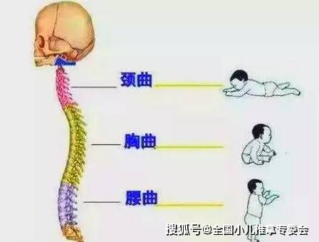小心脊柱侧弯!专家呼吁关爱儿童脊柱健康!