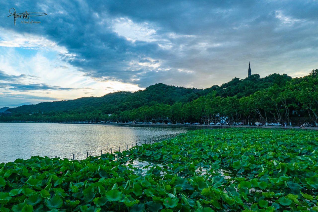 断桥上的夏日风光旖旎,相对往年,游人已经少了很多_西湖