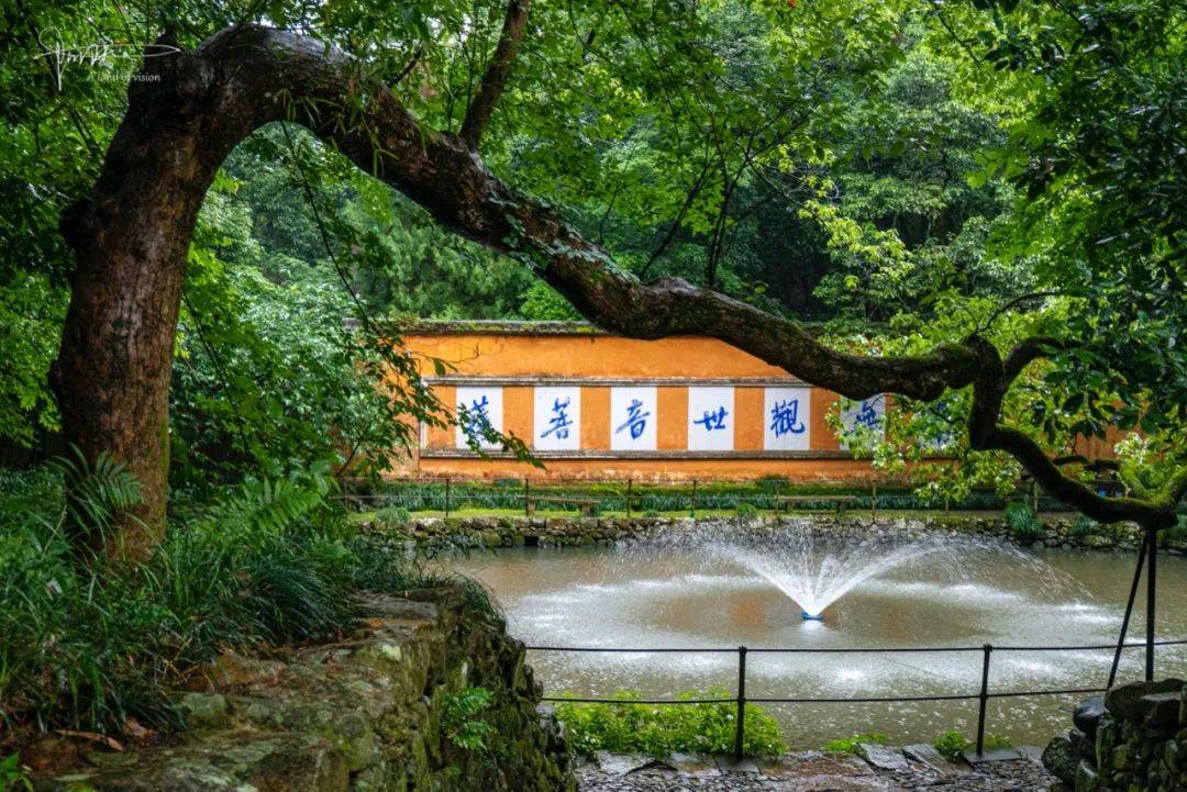 雨中漫步天台山的千年古刹感受国清寺的清静与无为