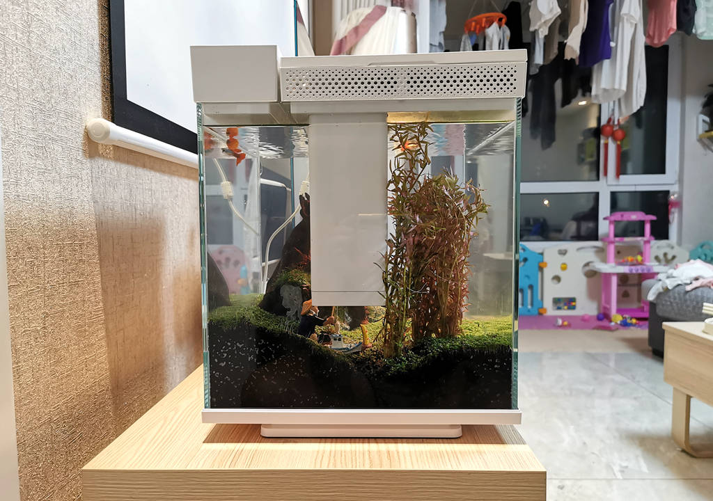 监测|哪种鱼缸更适合养鱼？画法几何AI智能鱼缸，水质监测还能自动喂食