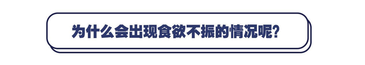 夏天没胃口不想吃饭怎么办